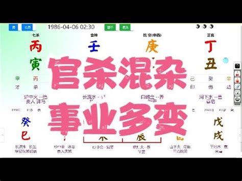 生日看五行|免費線上八字計算機｜八字重量查詢、五行八字算